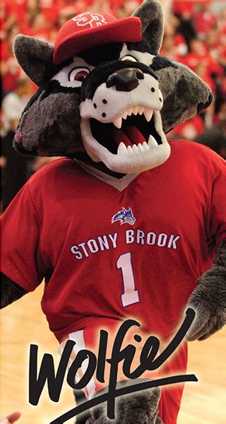 Behind the Scenes: What It's Like to Be Suny Stony Brook's Mascot